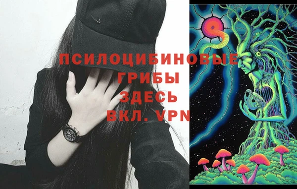 дживик Аркадак