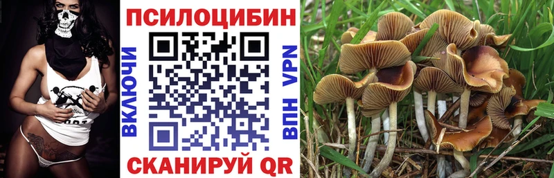 Псилоцибиновые грибы прущие грибы  Вихоревка 