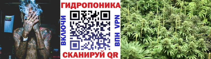 Конопля Bruce Banner Вихоревка